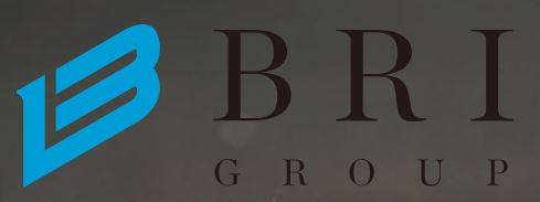 BRI Co., Ltd.-b-r Logo